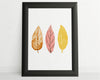 Autumn Leaves | Wall Decor | Autumnal Prints | Seasonal Prints |Seasonal Decor | Autumn Decor | Fall Prints | Pumpkin Prints - Happy You Prints