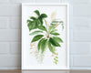 Botanical Print IV, Watercolour Plants, Tropical Leaf Prints, Green Leaf Prints, Home Decor - Happy You Prints