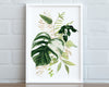 Botanical Print I, Watercolour Plants, Tropical Leaf Prints, Green Leaf Prints, Home Decor - Happy You Prints