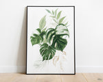 Botanical Print VII, Watercolour Plants, Tropical Leaf Prints, Green Leaf Prints, Home Decor - Happy You Prints