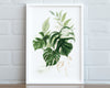 Botanical Print VII, Watercolour Plants, Tropical Leaf Prints, Green Leaf Prints, Home Decor - Happy You Prints