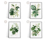 Botanical Prints