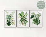 Botanical Prints