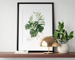 Botanical Print, Watercolour Plants, Tropical Leaf Prints, Green Leaf Prints, Home Decor - Happy You Prints