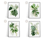 SET OF 2 Botanical Wall Art Prints, Wall Art, Tropical Plant Prints, Watercolour Plants, Tropical Leaf Prints, Green Leaf Prints - Happy You Prints