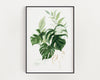 Botanical Print, Watercolour Plants, Tropical Leaf Prints, Green Leaf Prints, Home Decor - Happy You Prints