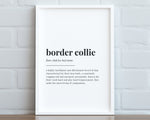 BORDER COLLIE DEFINITION Print